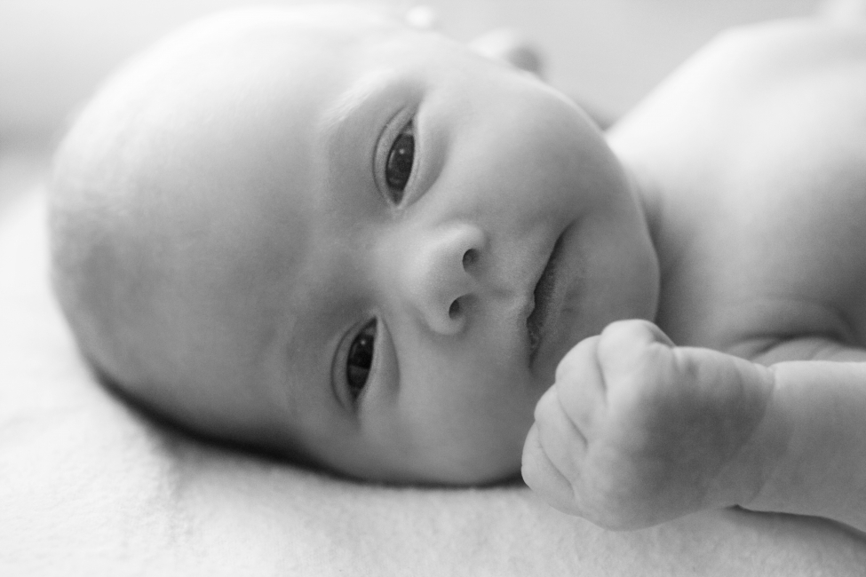 She's got the cutest little baby face.&nbsp;&nbsp;&nbsp;&nbsp;&nbsp;&nbsp;&nbsp;&nbsp;&nbsp;&nbsp;(photo: Carmen Phoenix Photography)